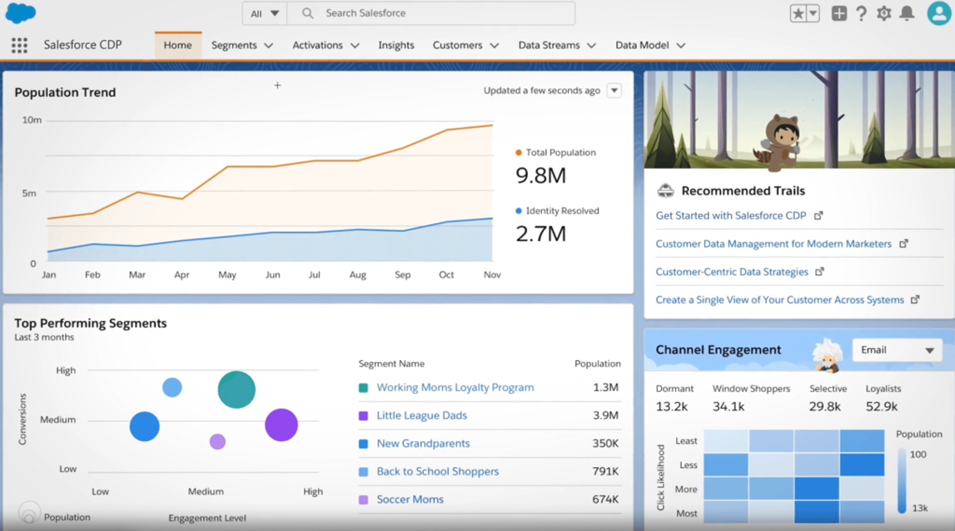 Salesforce interface