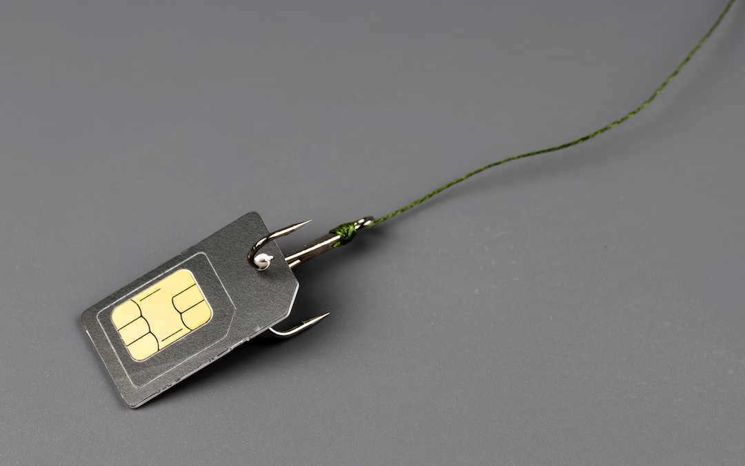 SIM Card in a Fish Hook