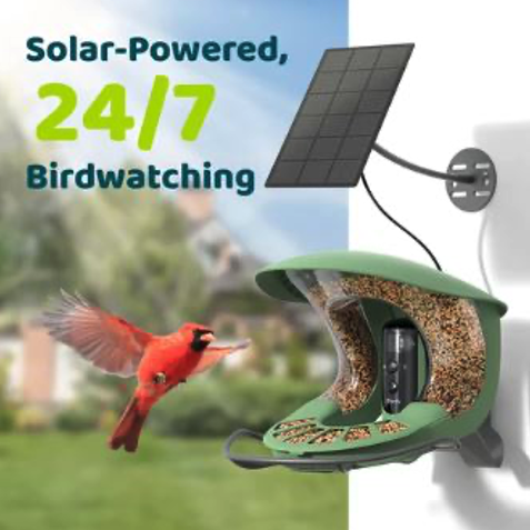 Solar-powered 24/7 Birdwatching Panel