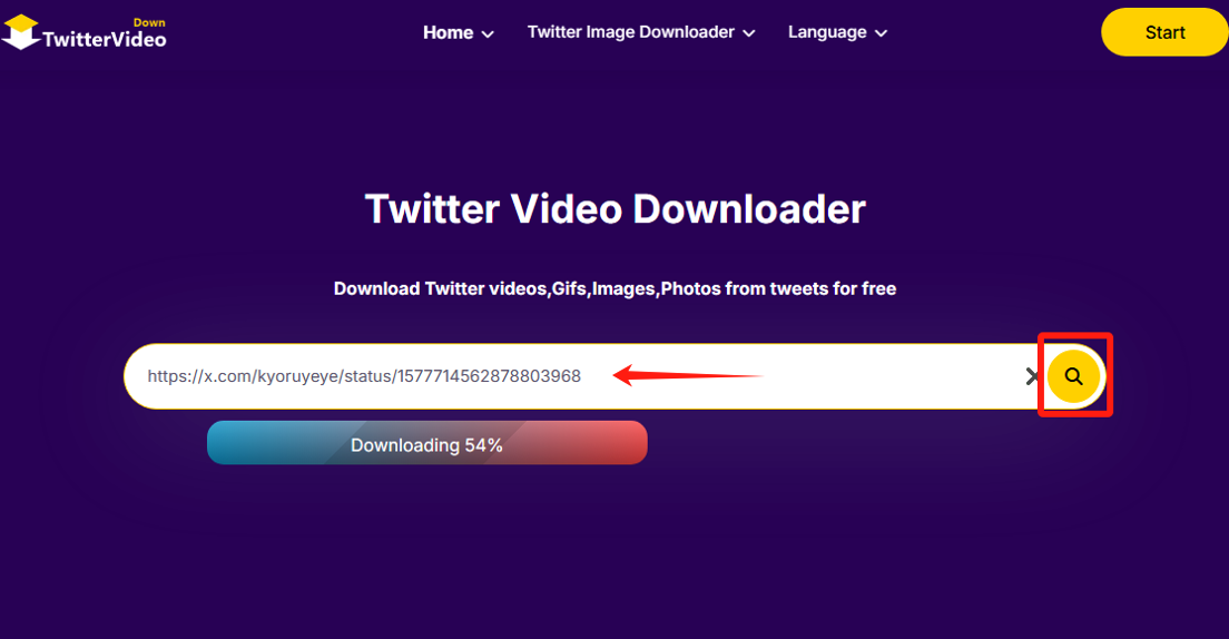 Paste Link to Twitter Video Downloader