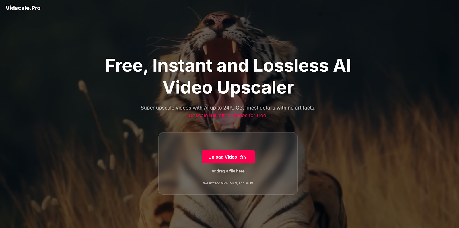 Vidscale.Pro Upscaler