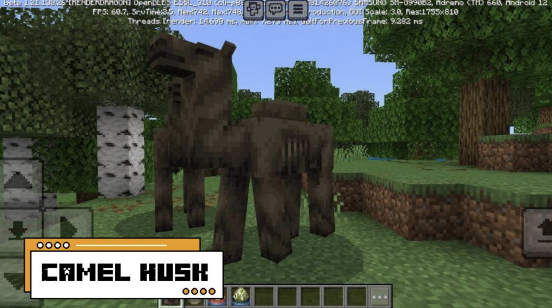 Camel Husk