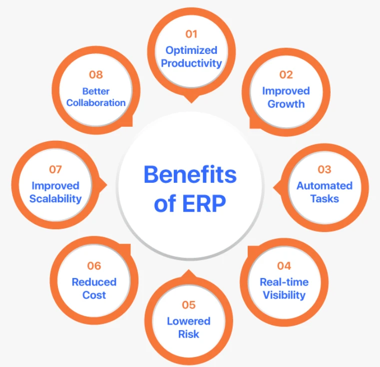 Benefits of Custom ERP