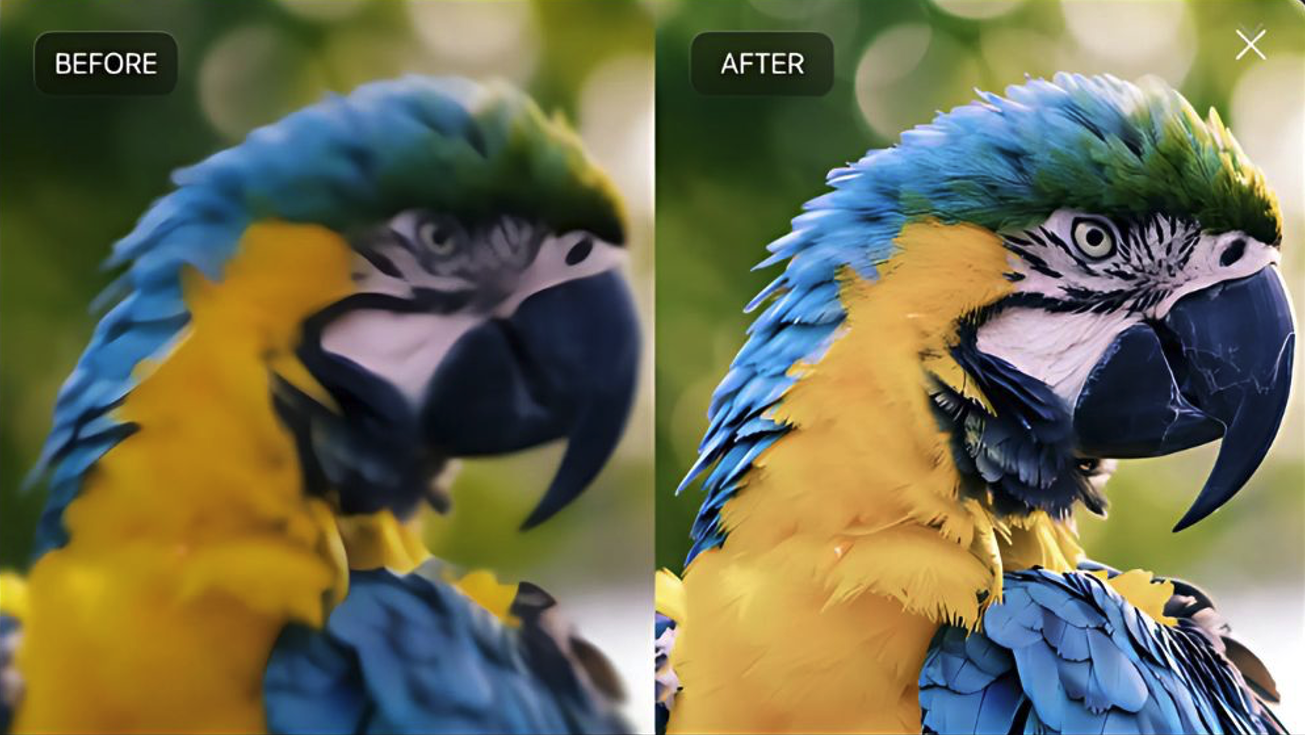 Ultra HD Restoration Model