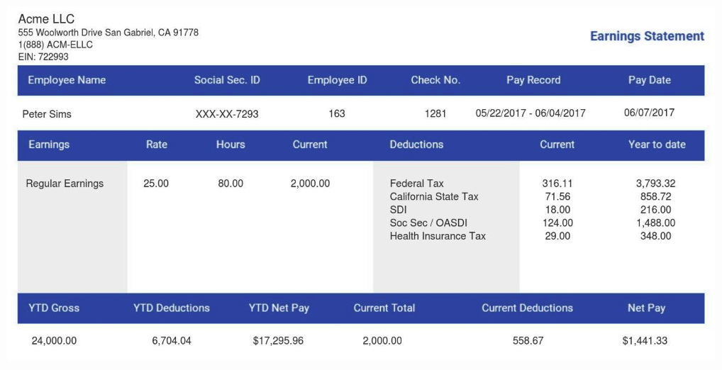 Free Paystub Templates