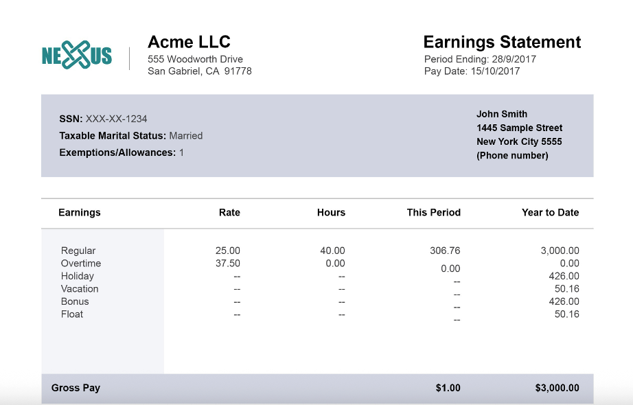 Premium Paystub Templates