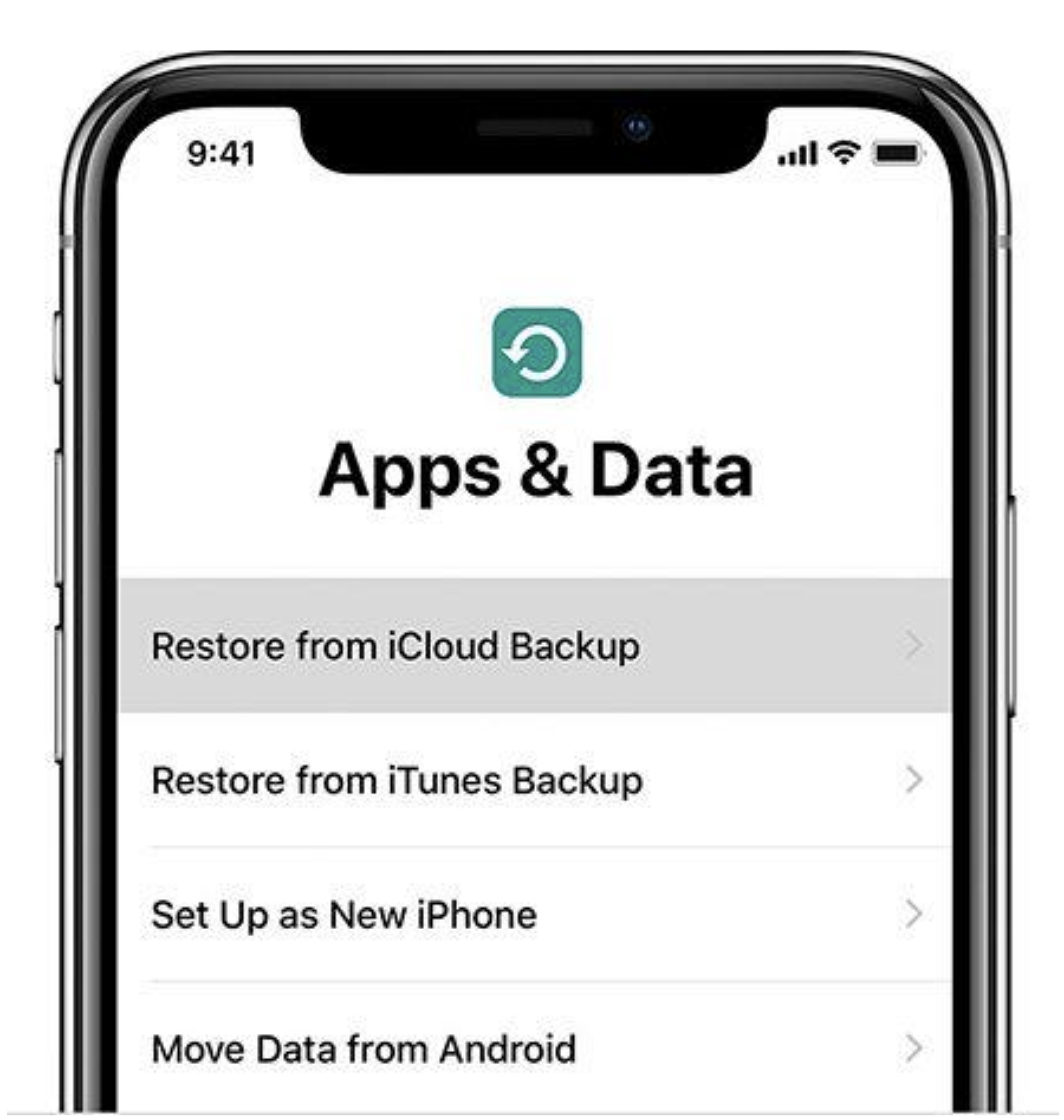 Restore From iCloud Backup