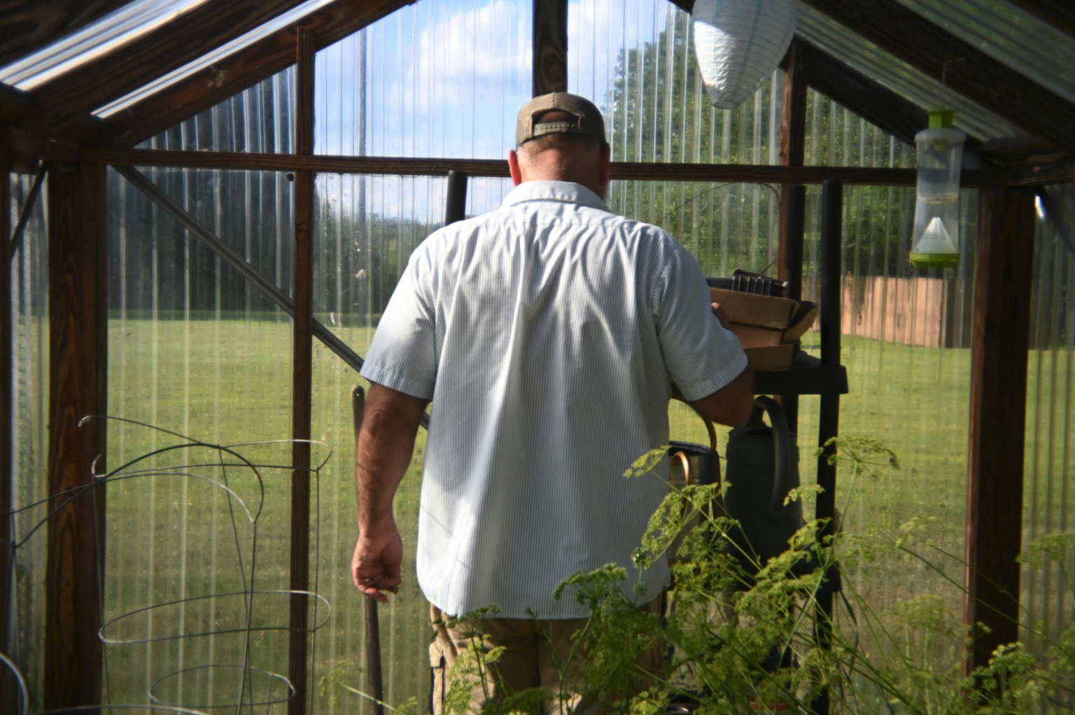 A man in sun room gardening