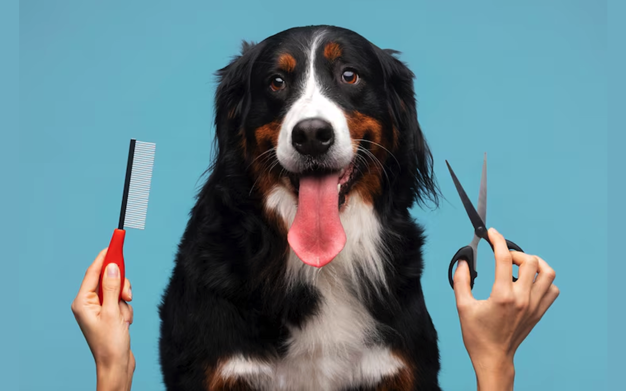 In Home Dog Grooming