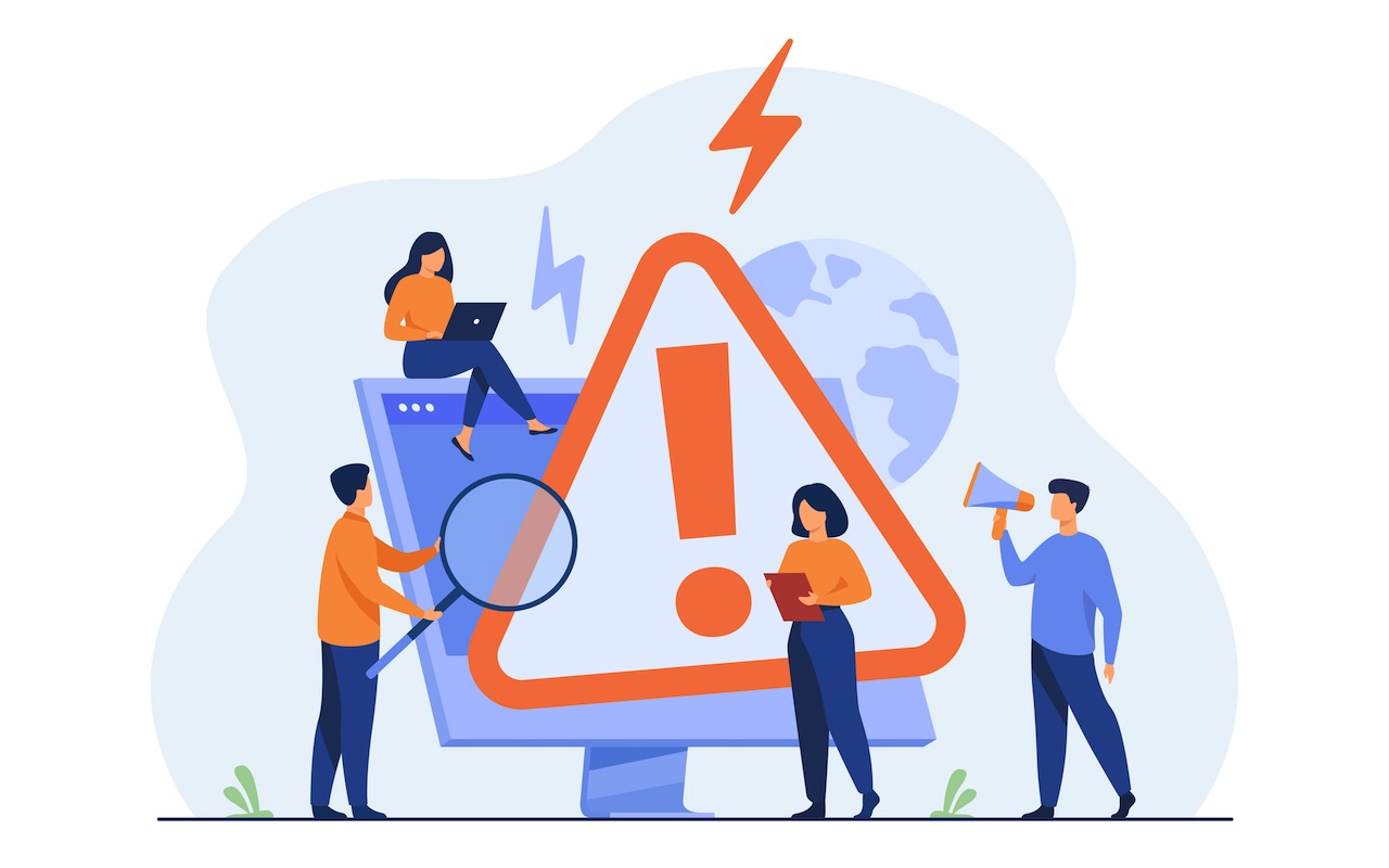 ERP System Failures