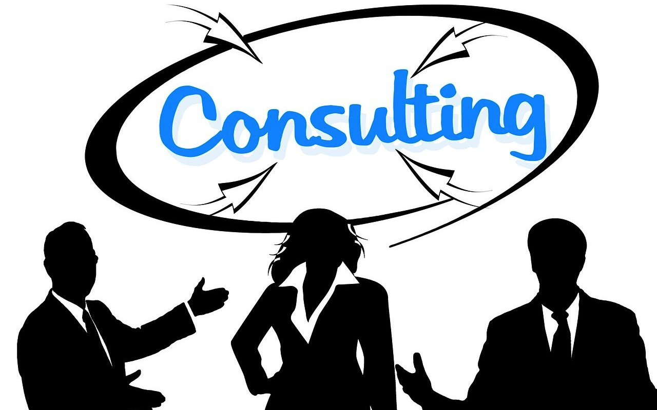 IT Consulting