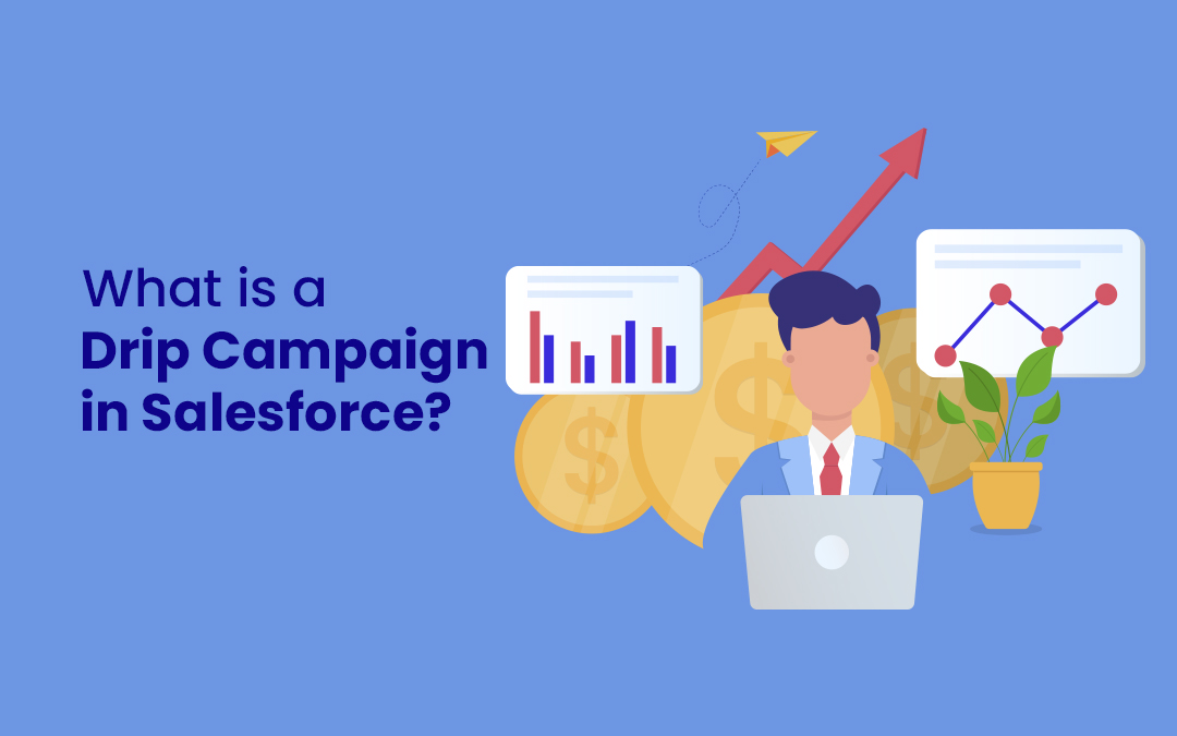 DRIP Campaign in Salesforce