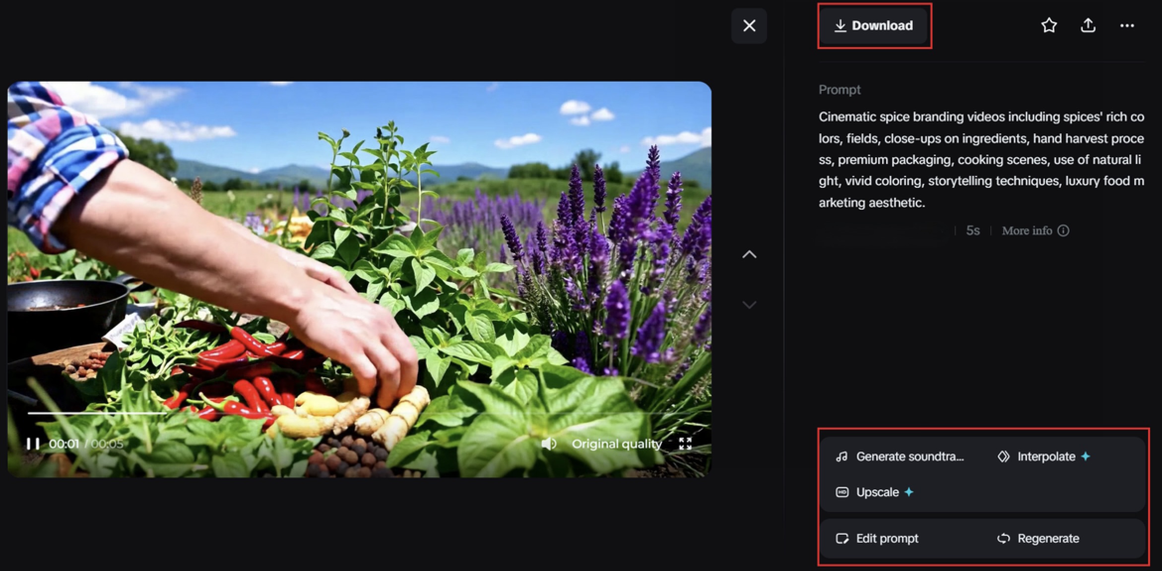 Refine, opitmize, and publish