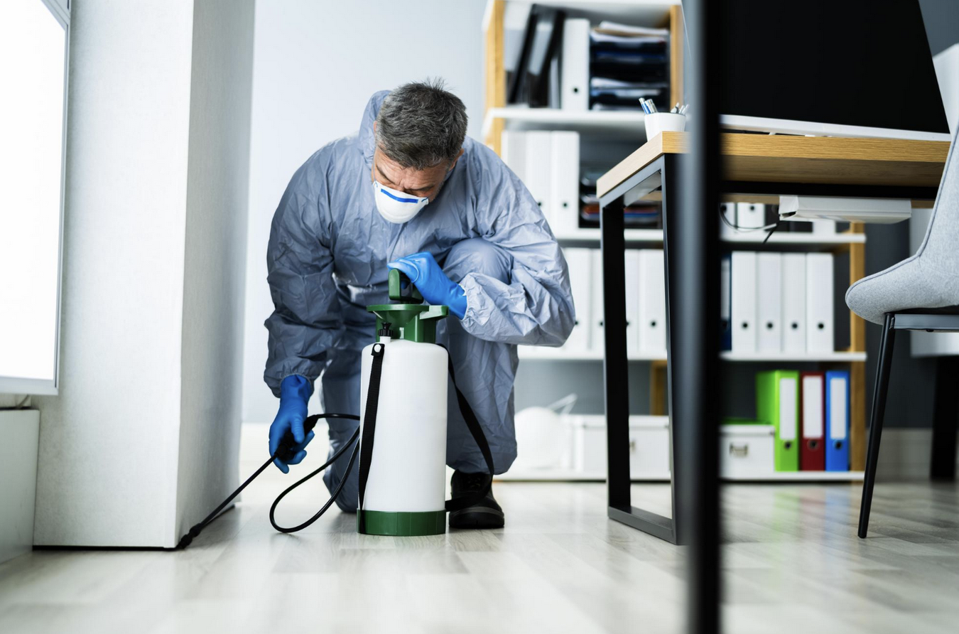 Pest control technician spraying indoors