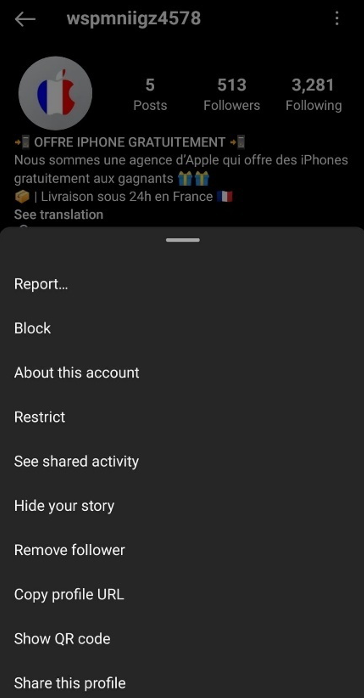 Report Fake Instagram Account