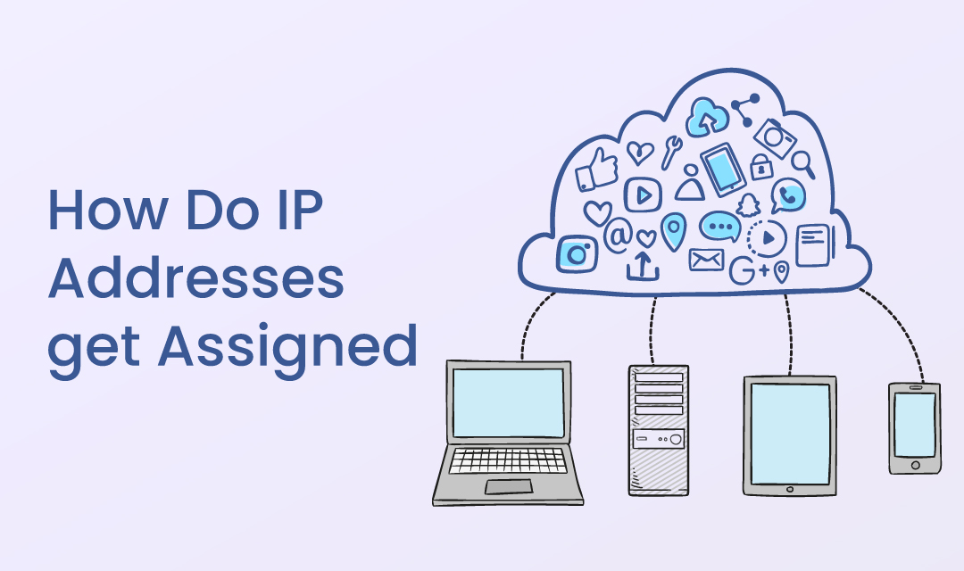 How do IP Addresses get Aasigned?