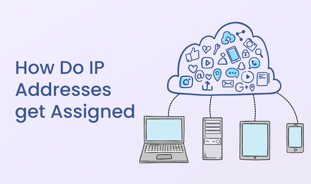 what are ip addresses assigned to