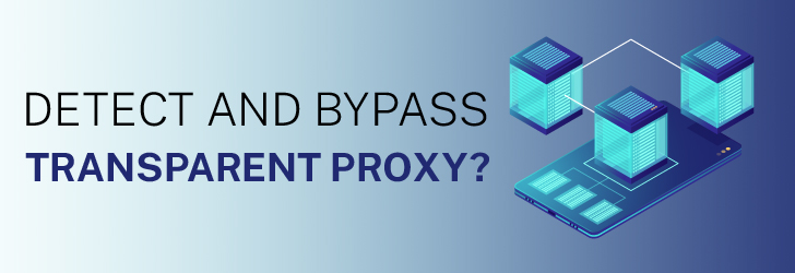Transparent Proxy