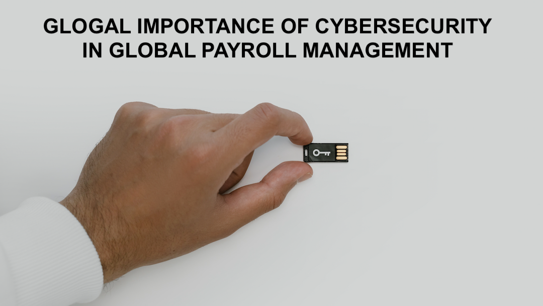Cybersecurity in Payroll Management