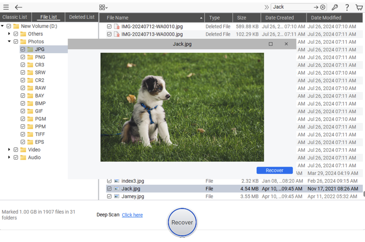 Preview and recover files