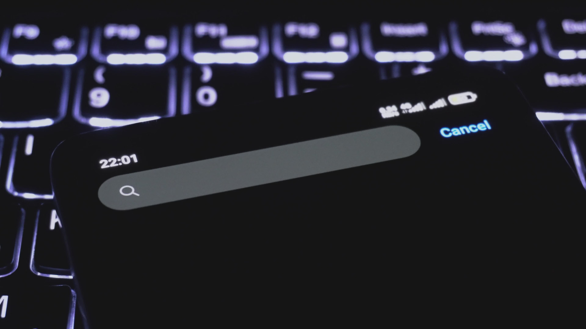 Search bar