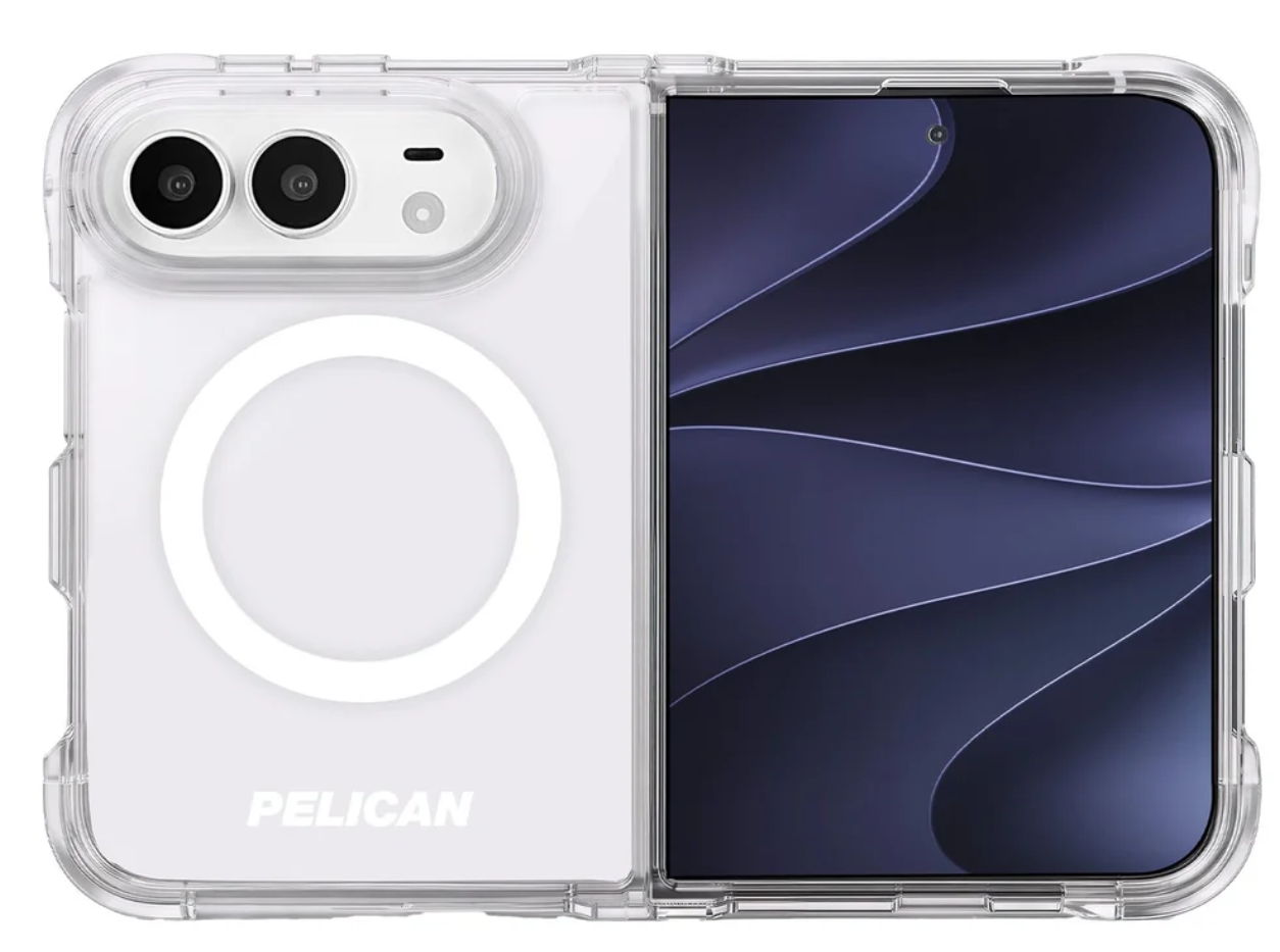 Pelican